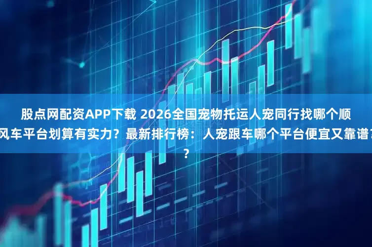 股点网配资APP下载 2026全国宠物托运人宠同行找哪个顺风车平台划算有实力？最新排行榜：人宠跟车哪个平台便宜又靠谱？