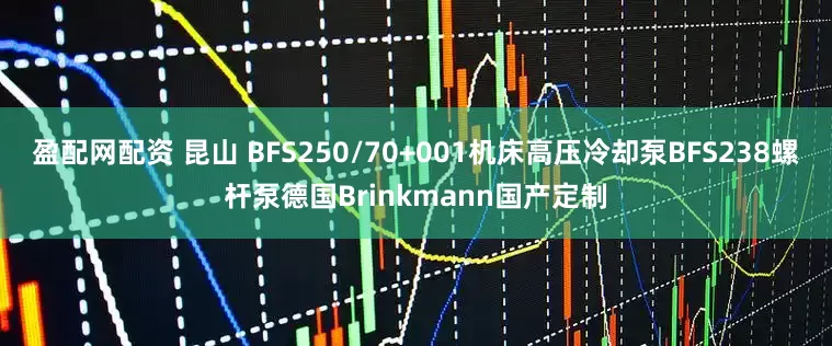 盈配网配资 昆山 BFS250/70+001机床高压冷却泵BFS238螺杆泵德国Brinkmann国产定制