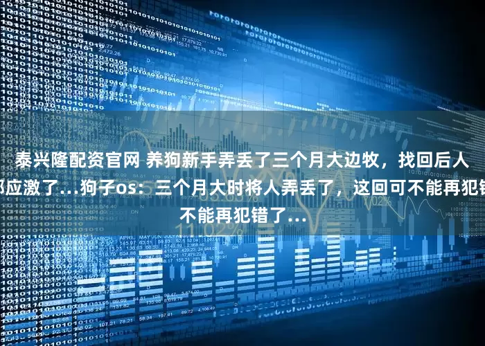 泰兴隆配资官网 养狗新手弄丢了三个月大边牧，找回后人和狗都应激了…狗子os：三个月大时将人弄丢了，这回可不能再犯错了…